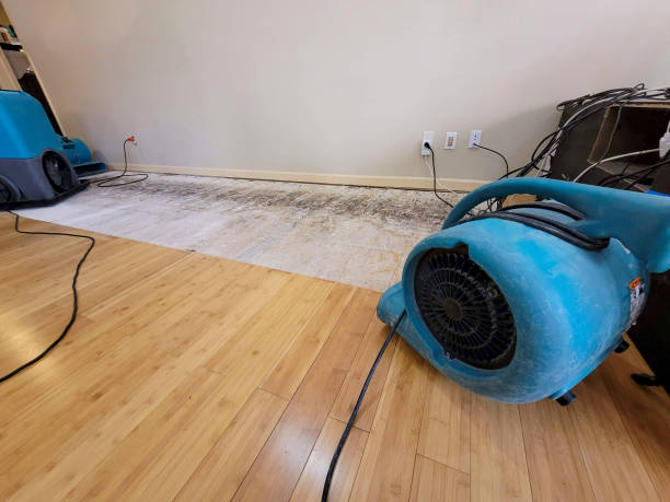 Professional Water Damage Repair technician working in Annandale, MN